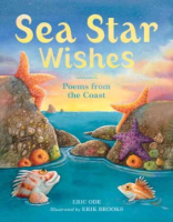 Sea_star_wishes