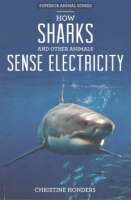 How_sharks_and_other_animals_sense_electricity