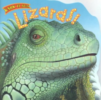 Lizards__