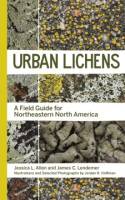 Urban_lichens