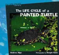 The_life_cycle_of_a_painted_turtle