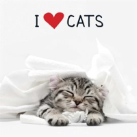 I_Love_Cats