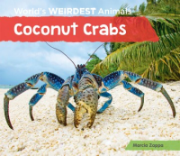 Coconut_crabs