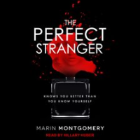 The_Perfect_Stranger