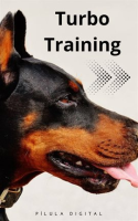 Turbo_Training