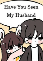 Have_You_Seen_My_Husband