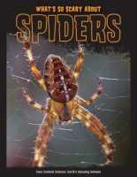 What_s_so_scary_about_spiders_