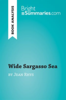 Wide_Sargasso_Sea_by_Jean_Rhys__Book_Analysis_