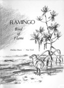 Flamingo__bird_of_flame