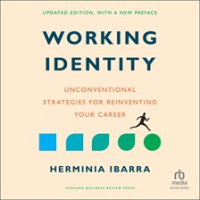 Working_Identity__Updated_Edition__With_a_New_Preface