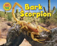 Bark_scorpion