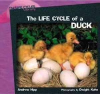 The_life_cycle_of_a_duck