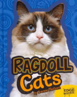 Ragdoll_cats