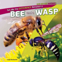 Tell_me_the_difference_between_a_bee_and_a_wasp
