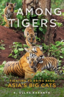 Among_tigers