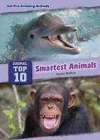 Smartest_animals