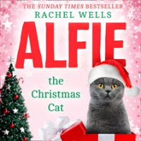 Alfie_the_Christmas_Cat