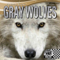 Gray_wolves