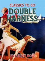 Double_Harness