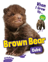 Brown_Bear_Cubs