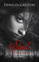 Steal__Forty_Thieves_Retold