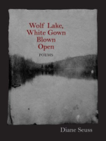 Wolf_Lake__white_gown_blown_open