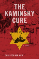 The_Kaminsky_cure