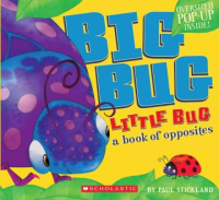 Big_bug__little_bug
