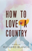 How_to_love_a_country