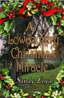 A_Lowcountry_Christmas_Miracle