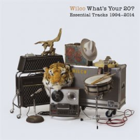 What_s_Your_20__Essential_Tracks_1994_-_2014